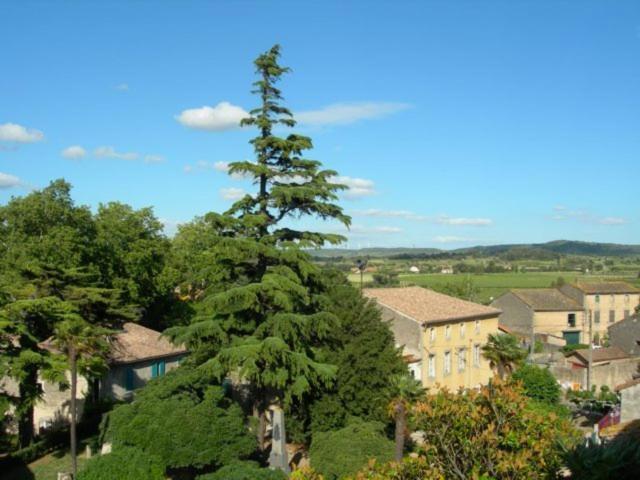 克洛斯德维尼斯住宿加早餐酒店 Saint-Couat-dʼAude 外观 照片